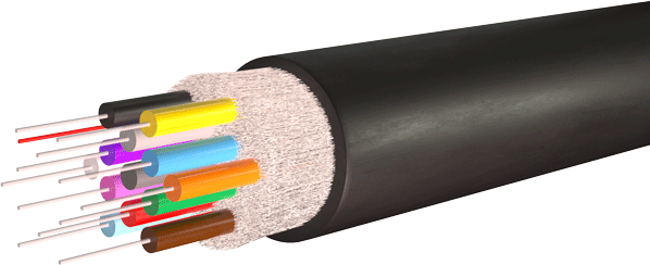 TB Indoor/Outdoor: 12F SM